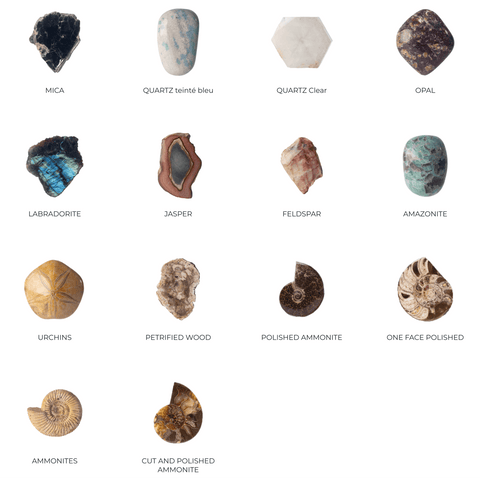 Bundle OWO + 2 Fossils or Minerals