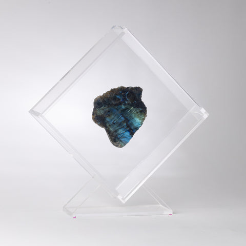 Bundle OWO + 2 Fossils or Minerals