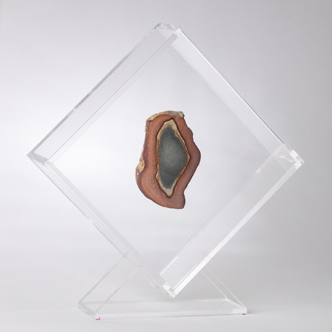 Bundle OWO + 2 Fossils or Minerals