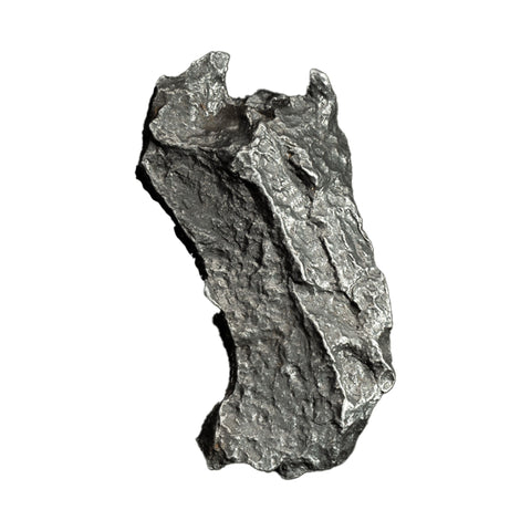 Sikhote Alin Meteorite + OWO